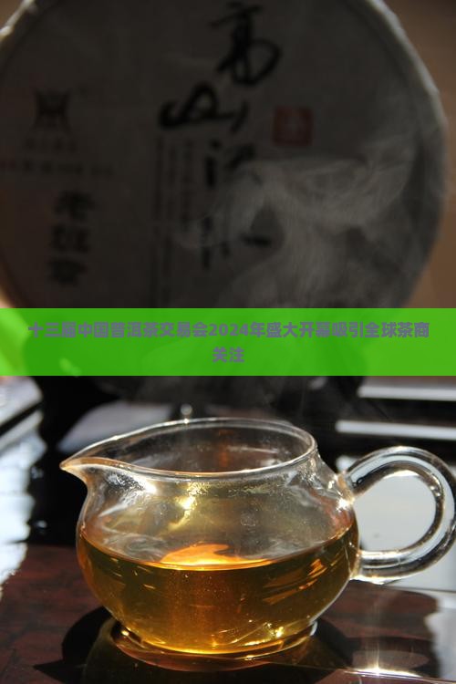十三届中国普洱茶交易会