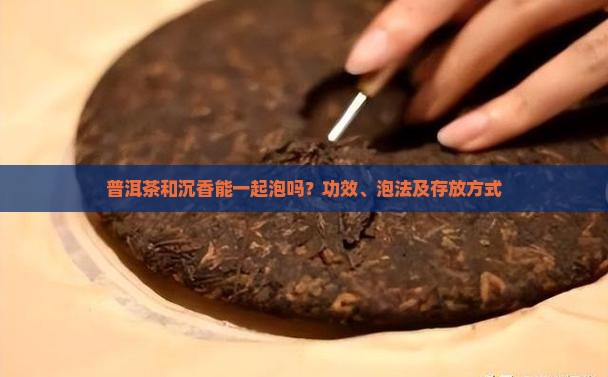 普洱茶和沉香能一起泡吗