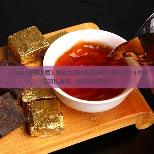 福鼎白茶与普洱茶哪个好喝点