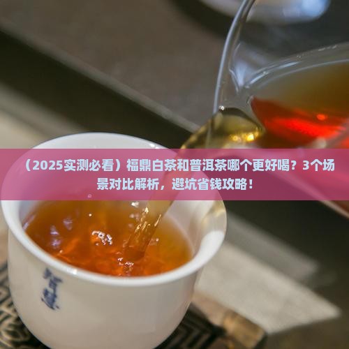 福鼎白茶与普洱茶哪个好喝点