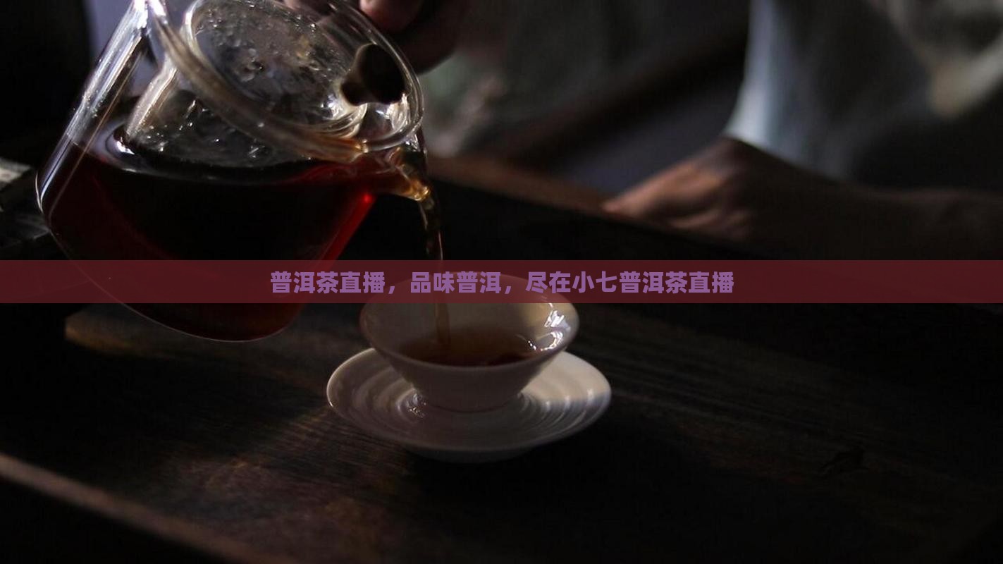 小七普洱茶直播