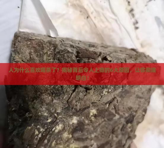 人为什么喜欢喝茶了