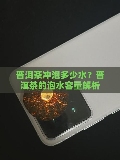 一块普洱茶能泡几升水