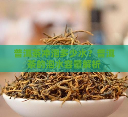 一块普洱茶能泡几升水