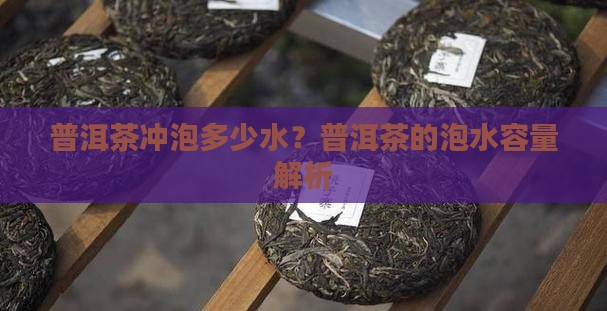 一块普洱茶能泡几升水