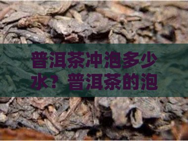 一块普洱茶能泡几升水