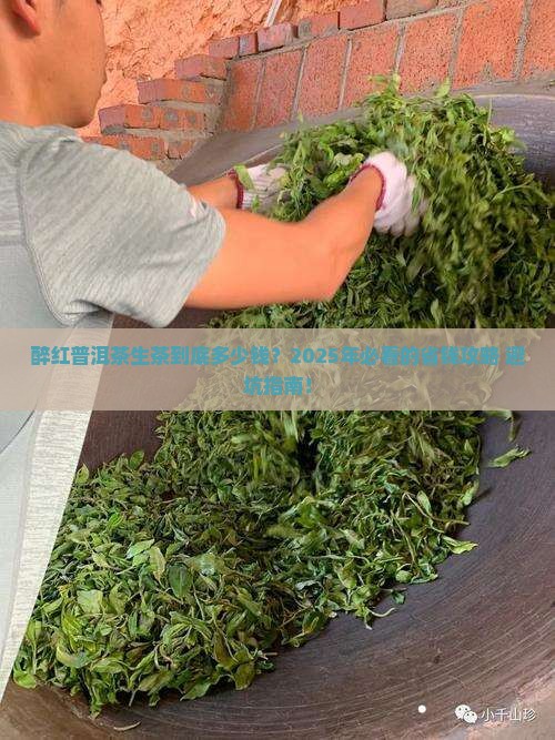 醉红普洱茶生茶价格