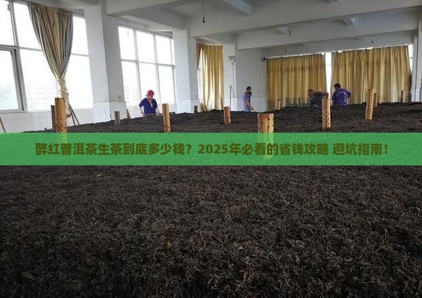 醉红普洱茶生茶价格