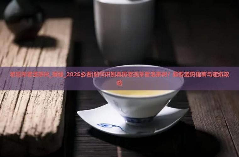 老班章普洱茶树