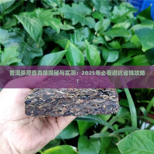 普洱茶原香是什么意思啊