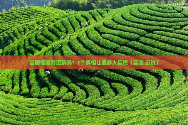 早上能嗑普洱茶吗空腹
