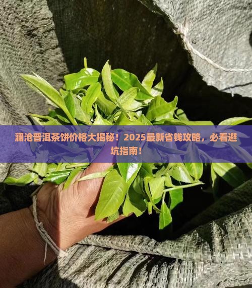 澜沧普洱茶饼多少钱