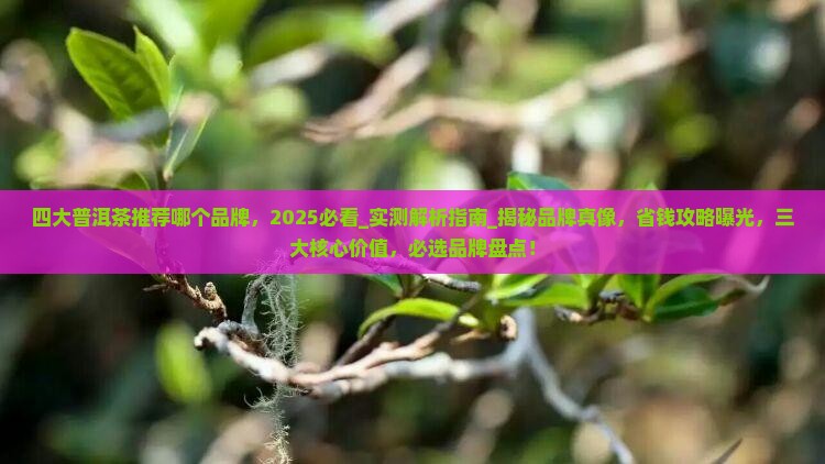 四大普洱茶推荐哪个品牌