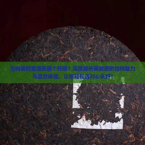 古树茶和普洱茶哪个好喝