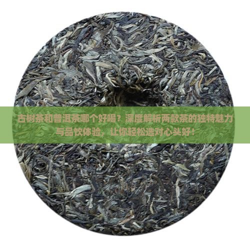 古树茶和普洱茶哪个好喝