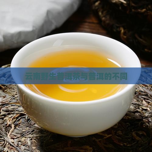 云南野生普洱茶有哪不同