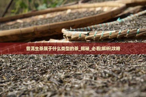 普洱生茶属于什么类型的茶