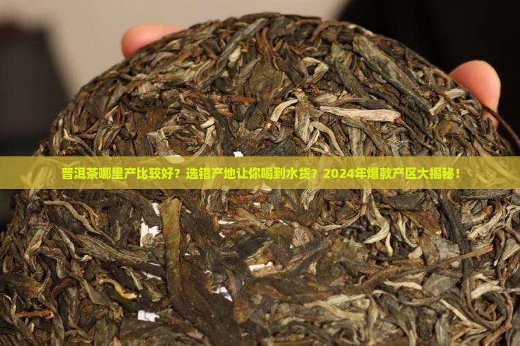 普洱茶哪里产比较好
