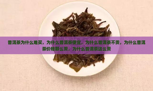 普洱茶为什么难买