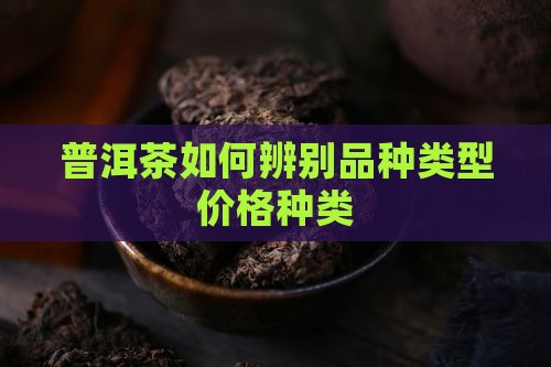 普洱茶如何看品种类型价格