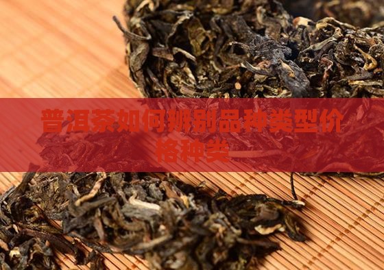 普洱茶如何看品种类型价格