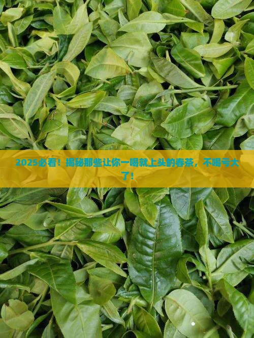 什么茶叶要喝春茶