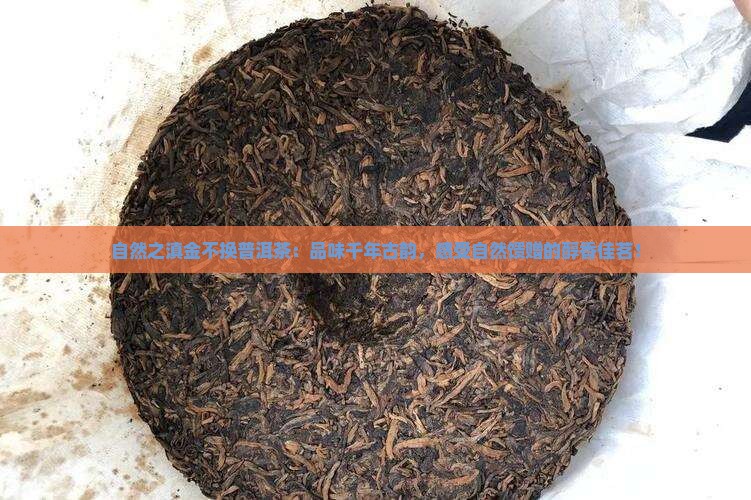自然之滇金不换普洱茶