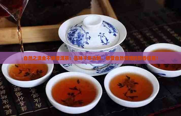 自然之滇金不换普洱茶