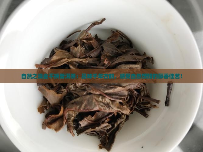自然之滇金不换普洱茶