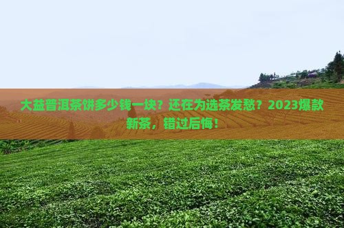 大益普洱茶饼多少钱一块