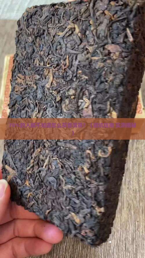 普洱茶销量占七成左右