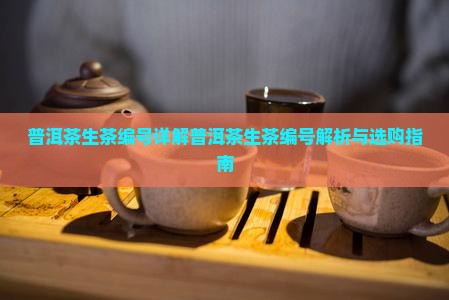 普洱茶生茶编号