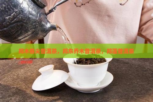 邦木春尖普洱茶