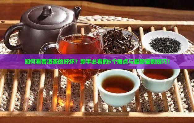 如何看普洱茶的好坏
