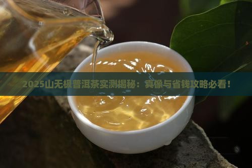 山无极普洱茶怎么样