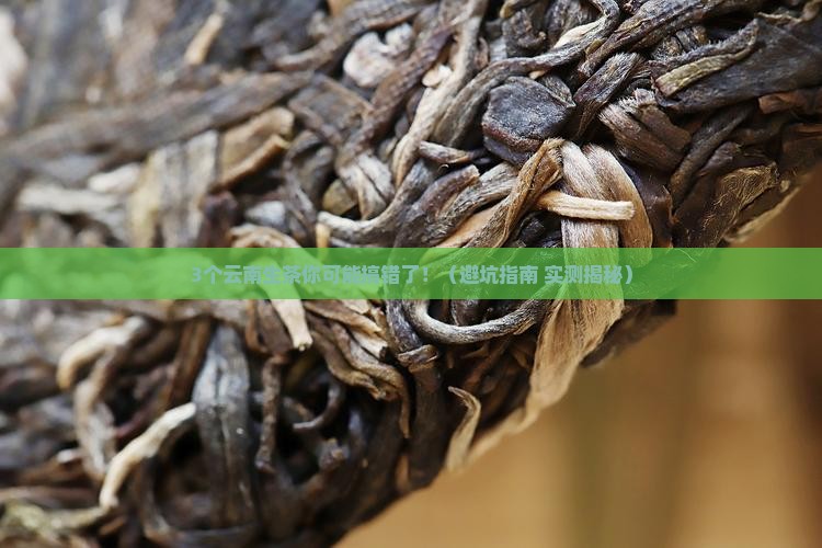 云南生茶是普洱茶呀