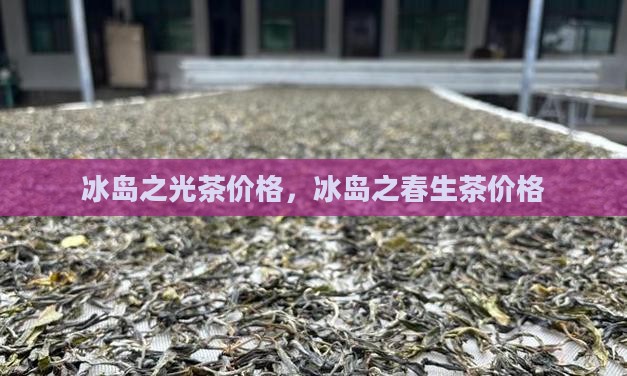 冰岛之光茶价格