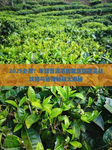 东营普洱茶加盟连锁店