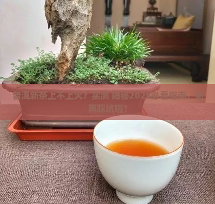 普洱茶新茶喝了上火吗