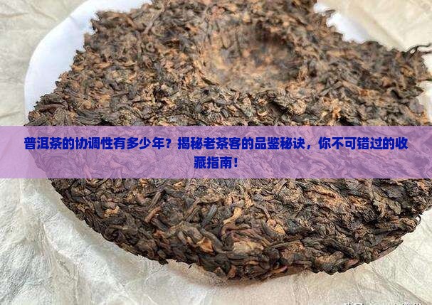 普洱茶的协调性有多少年