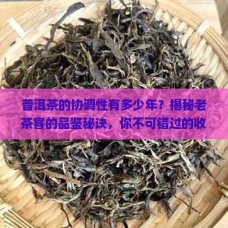 普洱茶的协调性有多少年