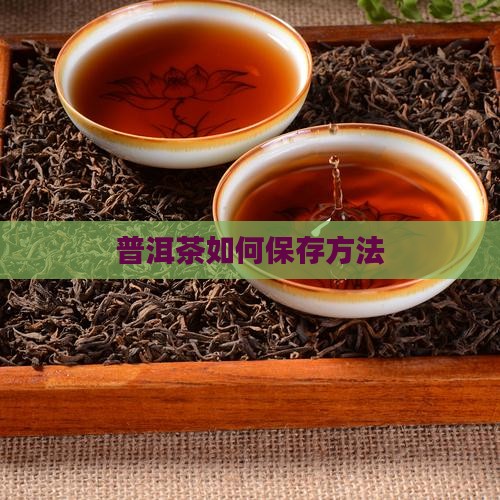普洱茶如何保存才能放得久