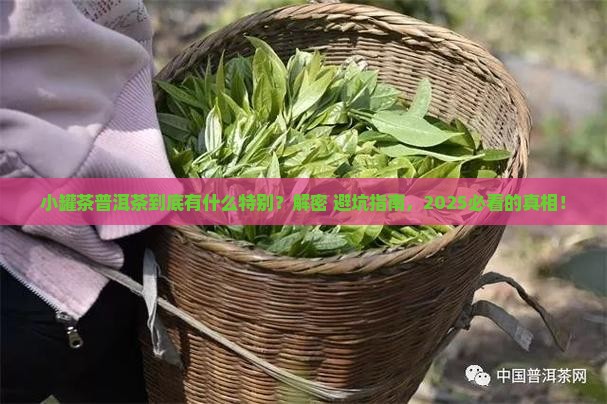 小罐茶普洱茶特点 小罐茶普洱茶特点