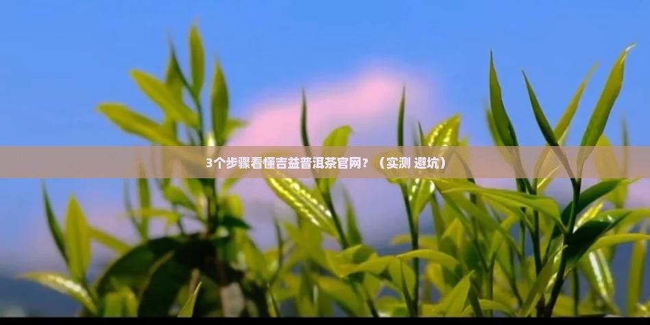 吉益普洱茶官网