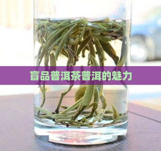 普洱茶街头盲品