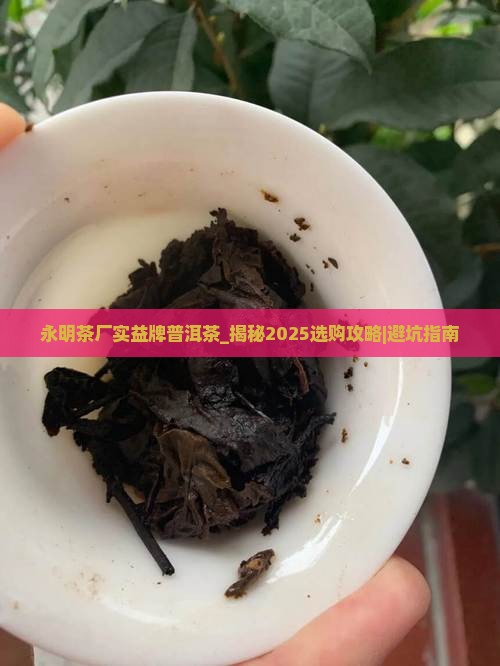永明茶厂实益牌普洱茶