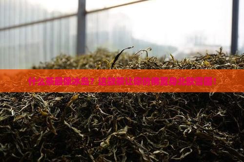 什么茶最像冰岛