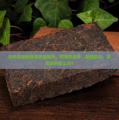 没有霉味的普洱茶
