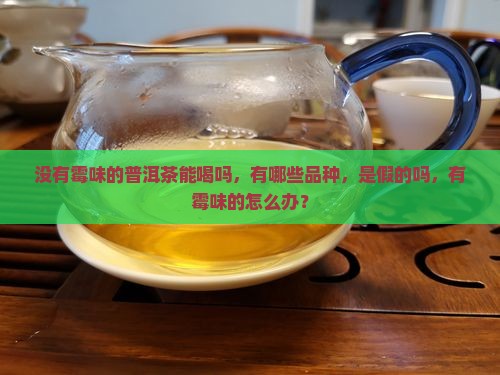 没有霉味的普洱茶