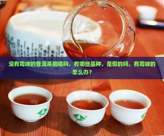 没有霉味的普洱茶